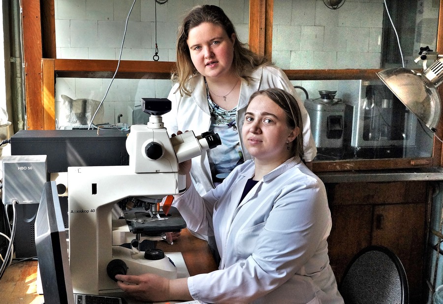 Молодые научные сотрудники к.б.н. А.К. Грехова и Е.И. Некрасова у флуоресцентного микроскопа фирмы «Цейс» оценивают электрофоретическую подвижность ДНК-комет в агарозном геле.